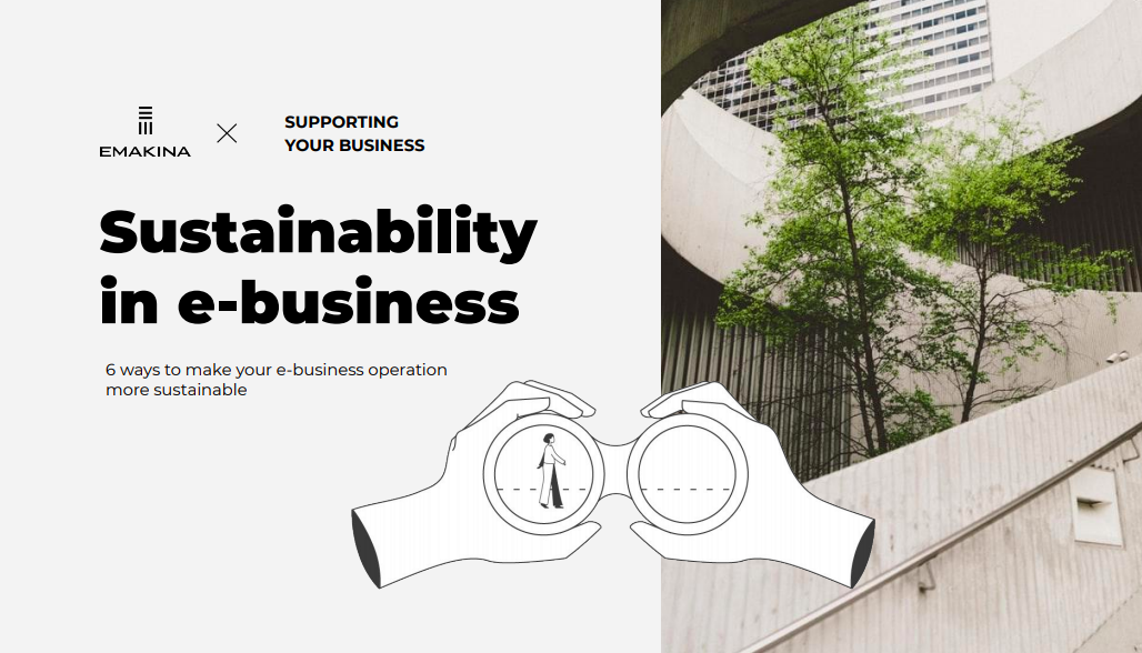 Sustainability in e-business